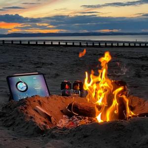 不起眼的杂草根 (热搜)