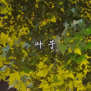 叶子