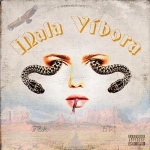 Mala Víbora (feat. BR1)