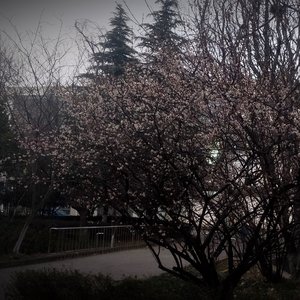 Virgo-Virgo tonight€(0.7X)remix（Roespsx remix）