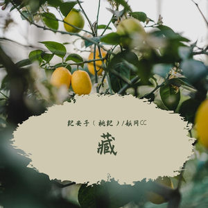 藏（翻自 双笙）