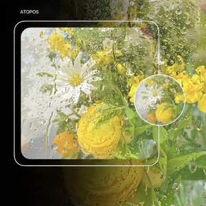 连吃醋的资格都名不正言不顺