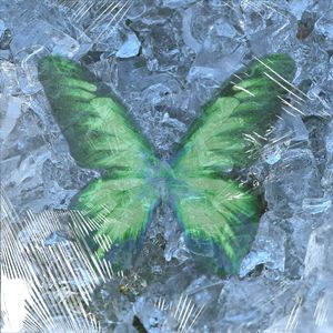 где ты? （ 你在哪？）