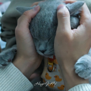 我的两个好朋友变成了一家人