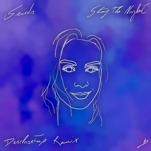 Stay The Night (Disclosetup Remix)