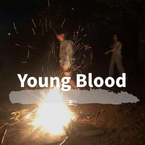 飘向北方（Bingo赵一鸣 / 何姝燕 / Y.B王喆 remix）