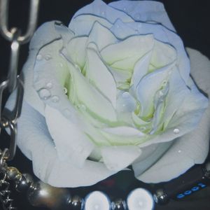 北风(Prod.by Jeston)