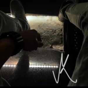 Alive again (還會動心)