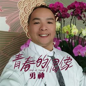 青春的偶像(伴奏)