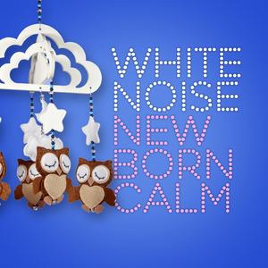 White Noise: Stereo Kettle