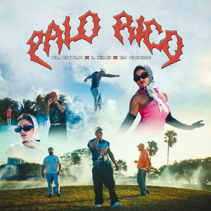 Palo Rico