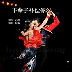下辈子补偿你 (拉丁舞曲版)