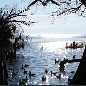 故土思绪的归乡行