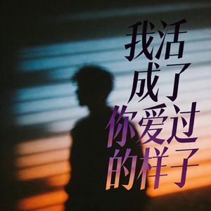 我活成了你爱过的那个样子