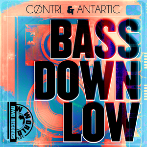Bass Down Low