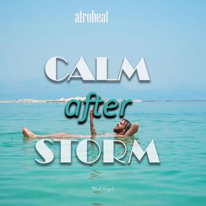 Calm after storm (Instrumental)