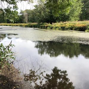 Don't Close Your Eyes