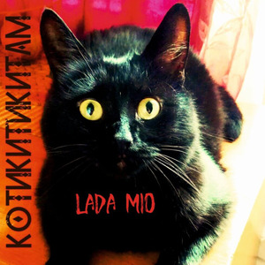 Котикитикитам