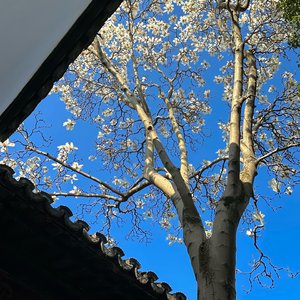 你是我此生最好的收藏