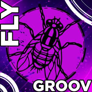 Sharp Fly Groov #1027