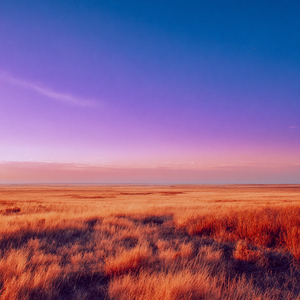 答えはいつもここにある