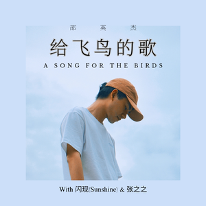 给飞鸟的歌