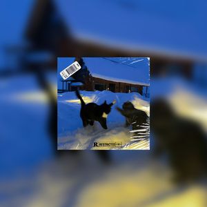 [FREE]''冬日暖阳''-抒情钢琴类型伴奏