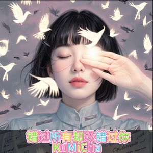 错过所有却没错过你