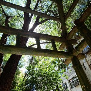 摘下耳机我将失去一切