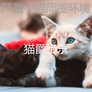 有趣睡猫情怀
