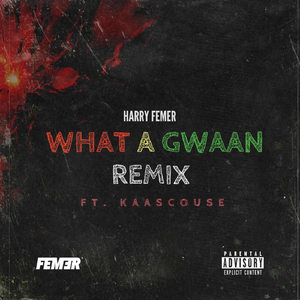 What A Gwaan (Remix)