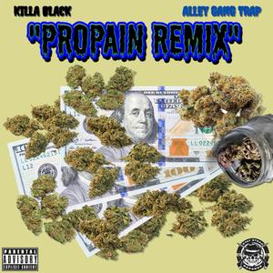 PROPAIN (REMIX)