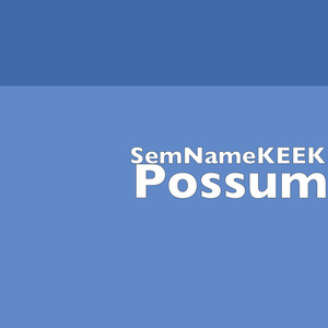 Possum
