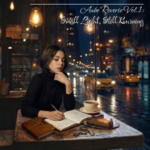 Streetlamp in the Rain