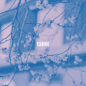 Rabino