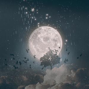 和二十一岁的自己看月亮