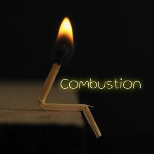 Combustion