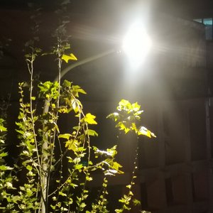 春晖常在_8be2bdc4_1777416802662.mp3