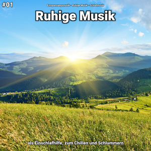 Ruhige Musik, Pt. 9