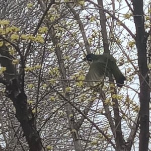 被辜负的人总在反省