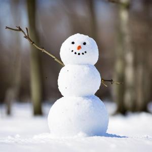 Snowbound