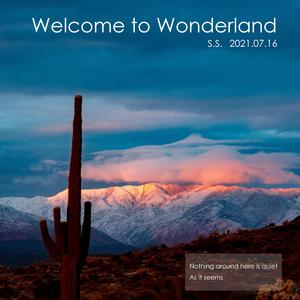 Welcome to Wonderland 伴奏