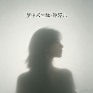 梦中来生缘