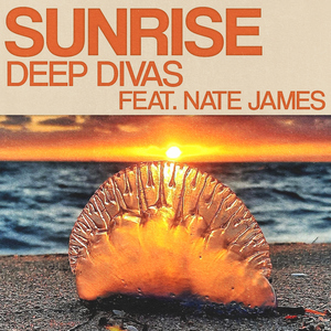 Sunrise (feat. Nate James) [Extended Mix]