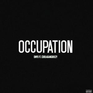 Occupation