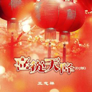 喜从天降（DJ版）