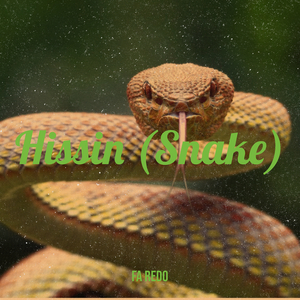 Hissin (Snake)