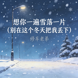 想你一遍雪落一片 (别在这个冬天把我丢下)