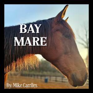 Bay Mare