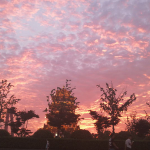 是你教会我如何熟练地不快乐